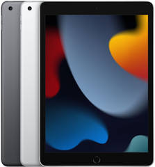 Apple iPad 9 10.2 Wi-Fi 256Gb 2021